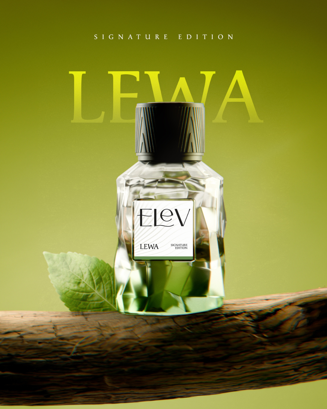 5 PERFUMES SET