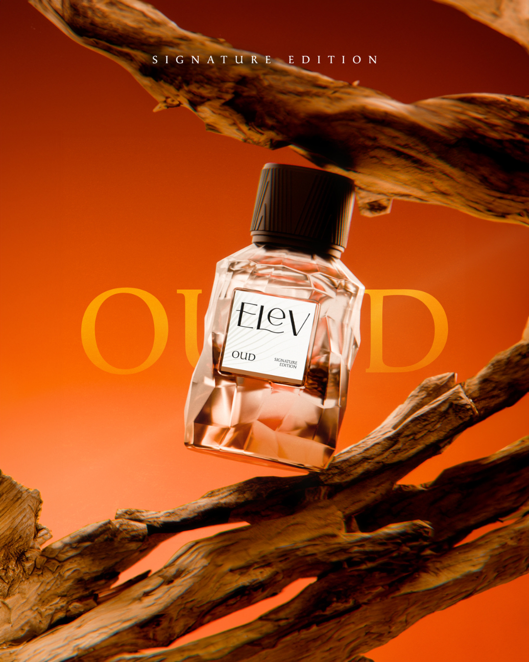 5 PERFUMES SET