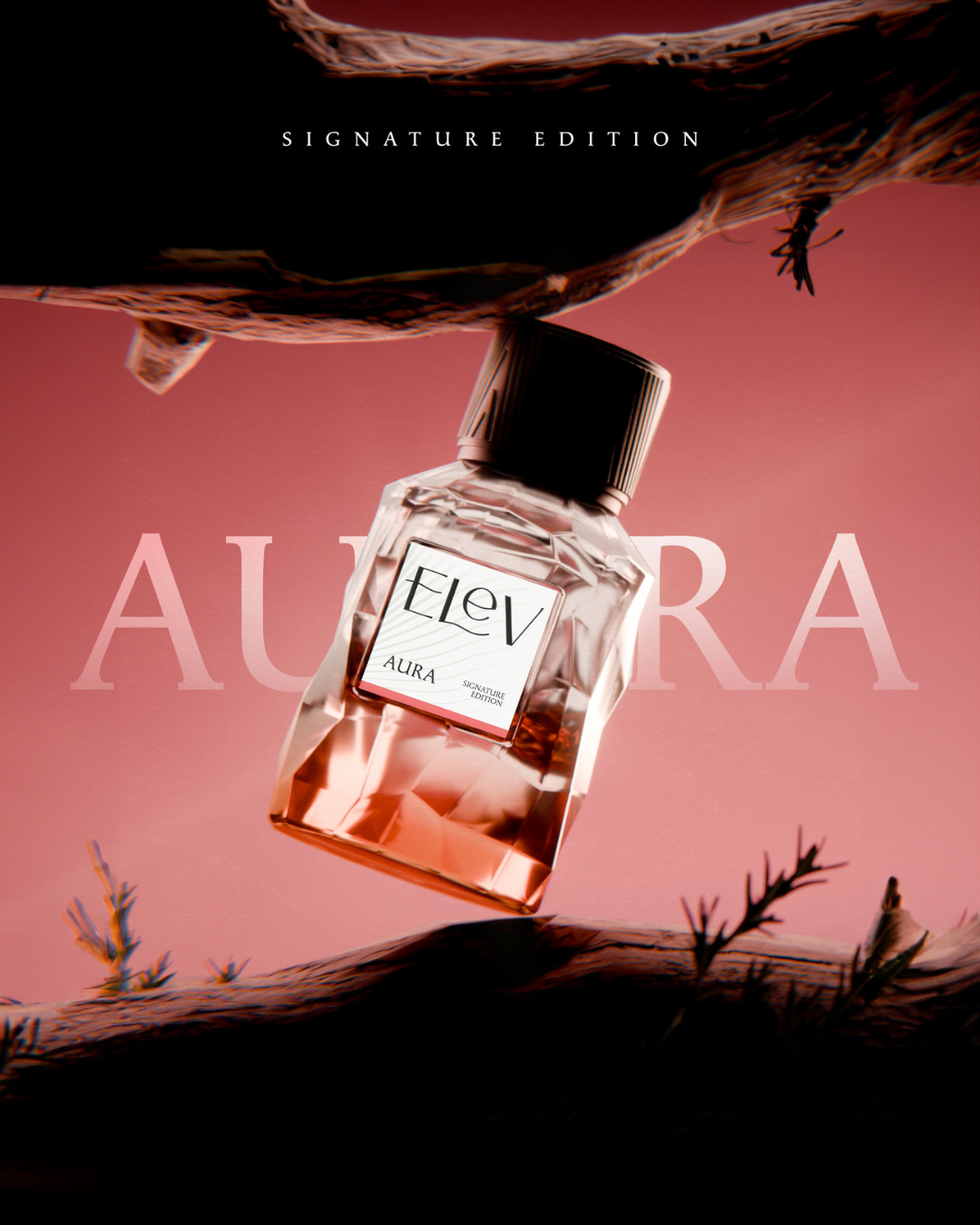 5 PERFUMES SET