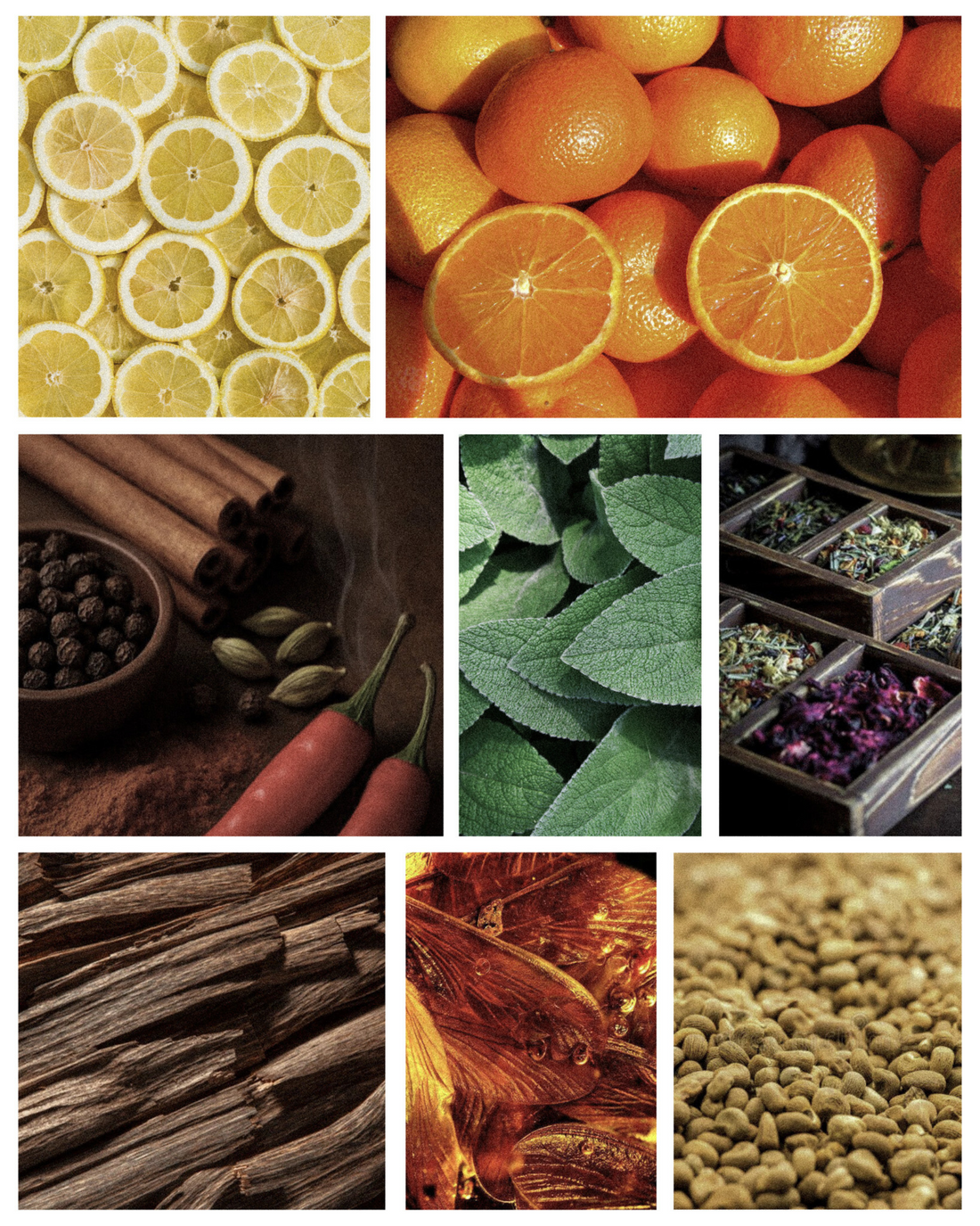 Fragrance Notes